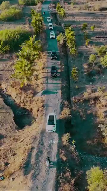 Preview frame from The Grand Entrance