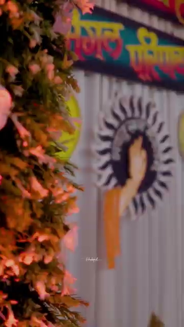 Preview frame from Wedding Moments